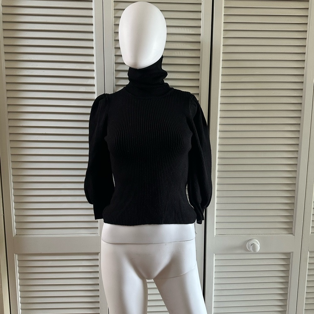 Zara Ribbed Knit Turtkeneck Sweater